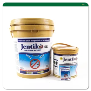 Jentika 1 GR