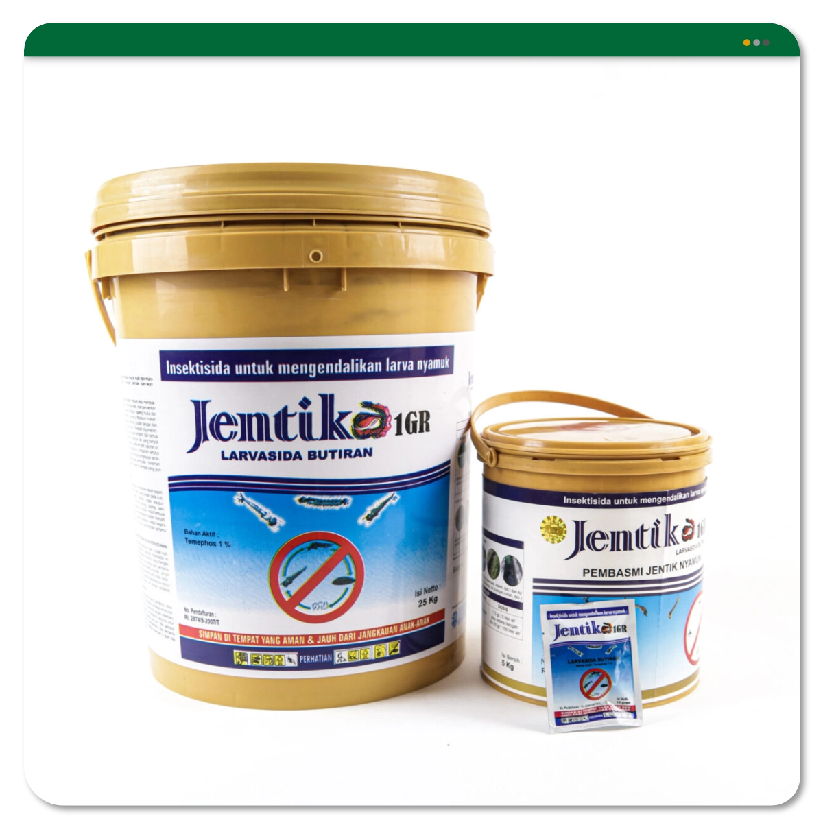 Jentika 1 GR
