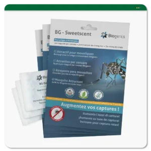 BG-Sweetscents