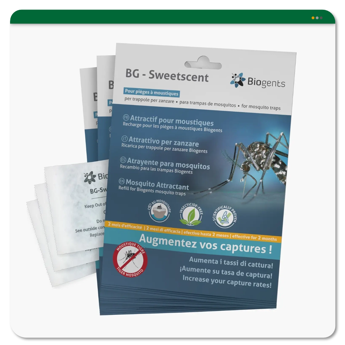 BG-Sweetscents