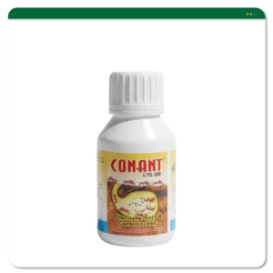 CONANT 1,75 GR
