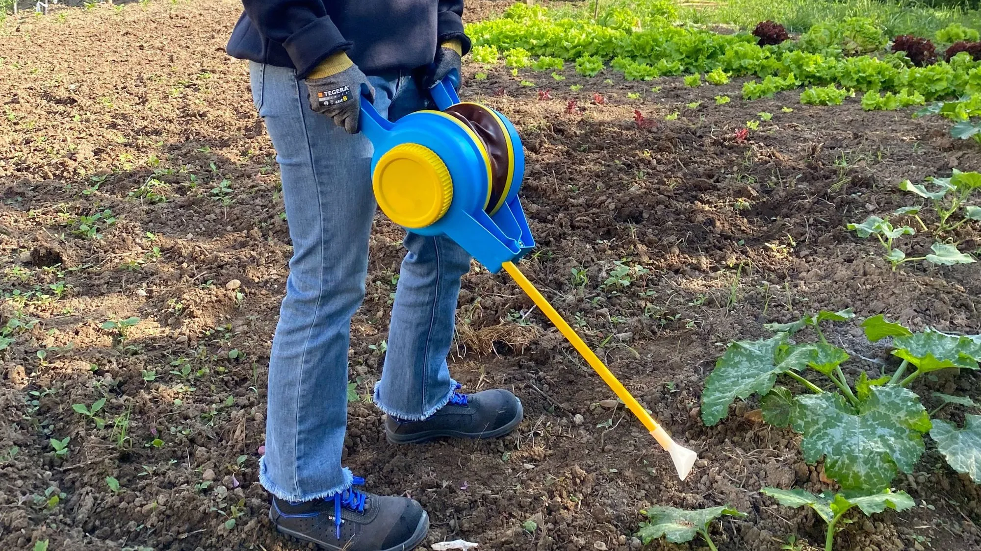 Area Penting Aplikasi Dusting di Kandang Ayam Sapi & Kambing