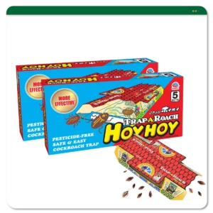 Hoy Hoy